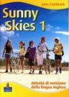 Sunny skies holiday book 1 vol.1