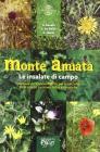 Monte Amiata. Le insalate di campo. Manuale di riconoscimento per la raccolta delle piante commestibili e aromatiche