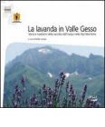 La lavanda in Valle Gesso