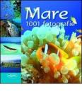 Mare