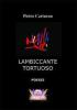 Lambiccante tortuoso