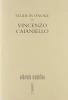 Studi in onore di Vincenzo Caianiello