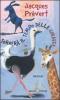 Torner� il tempo delle giraffe