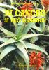 Di cancro si pu� guarire!