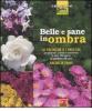 Belle e sane in ombra
