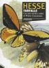 Farfalle