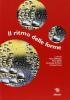 Il ritmo delle forme. Itinerario matematico (e non) nel mondo della simmetria. Simmetrie