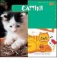 Gattini