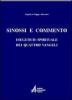 Sinossi e commento esegetico-spirituale dei quattro vangeli
