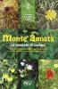 Monte Amiata. Le insalate di campo. Manuale di riconoscimento per la raccolta delle piante commestibili e aromatiche