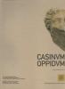 Casinum oppidum. Atti della Giornata di studi (Cassino, 8 ottobre 2004)