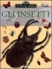 Gli insetti