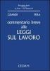 Commentario breve alle leggi sul lavoro
