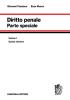 Diritto penale vol.1