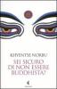 Sei sicuro di non essere buddhista?