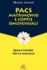 PACS, matrimonio e coppie omosessuali. Quale futuro per la famiglia