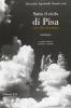 Sotto il cielo di Pisa. Una citt� raccontata