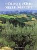 Olivo e olio nelle Marche