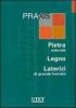 Praxis: Pietra naturale-Legno-Laterizi di grande formato. Con CD-ROM