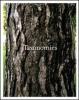 Taxonomies