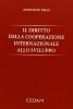 Il diritto della cooperazione internazionale allo sviluppo