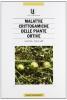 Malattie crittogamiche delle piante ortive