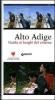 Alto Adige. Guida ai luoghi del cinema. Con DVD