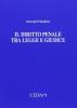 Il diritto penale tra legge e giudice. Raccolta di scritti