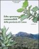 Erbe spontanee commestibili della provincia di Cuneo