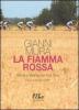 La fiamma rossa. Storie e strade dei miei tour