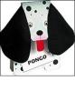 Pongo
