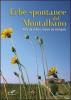 Erbe spontanee del Montalbano. Belle da vedere, buone da mangiare