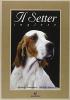 Il setter inglese