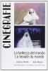 Cinegrafie vol.15