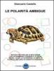 Le polarit� ambigue