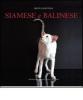 Siamese e balinese