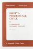 Diritto processuale civile vol.2