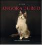 Angora turco