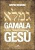Gamala. Il segreto delle origini di Ges�