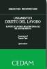 Lineamenti di diritto del lavoro. Rapporti di lavoro e relazioni sindacali nel settore privato