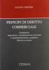 Principi di diritto commerciale