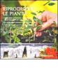 Riprodurre le piante