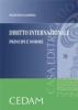 Diritto internazionale. Principi e forme