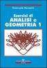 Esercizi di analisi e geometria vol.1