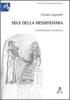 Sole della Mesopotamia. Considerazioni incomplete