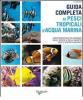 Guida completa ai pesci tropicali d'acqua marina