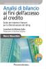Analisi di bilancio ai fini dell'accesso al credito. Guida per impres e e bancari per la determinazione del rating. Con CD-ROM