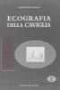 Ecografia della caviglia