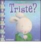 Sai perch� sono triste?