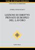 Lezioni di diritto privato europeo del lavoro